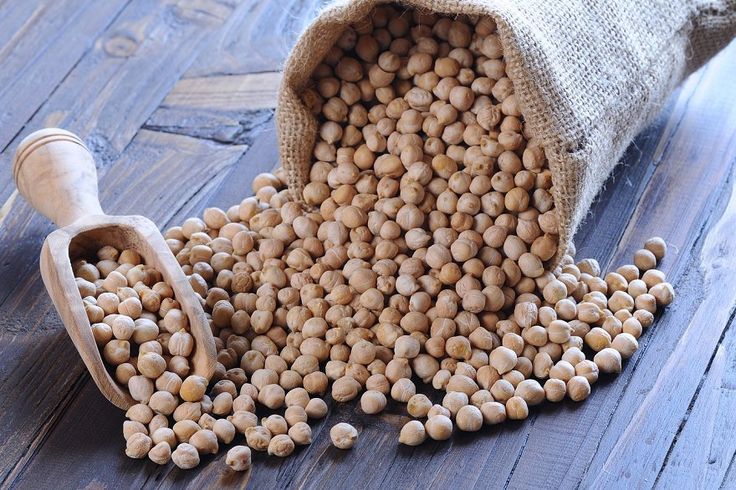 HACCP Certified Chickpeas Wholesale for School Feeding Programs; Bulk Pricing & Reliable Supply Chain